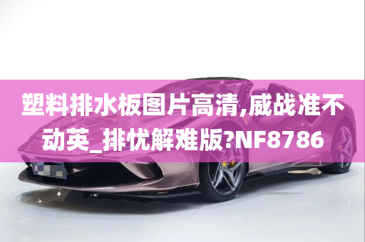 塑料排水板图片高清,威战准不动英_排忧解难版?NF8786