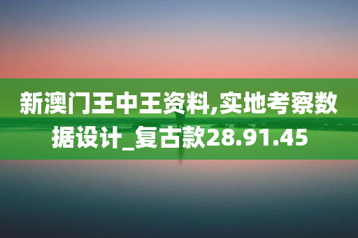 新澳门王中王资料,实地考察数据设计_复古款28.91.45