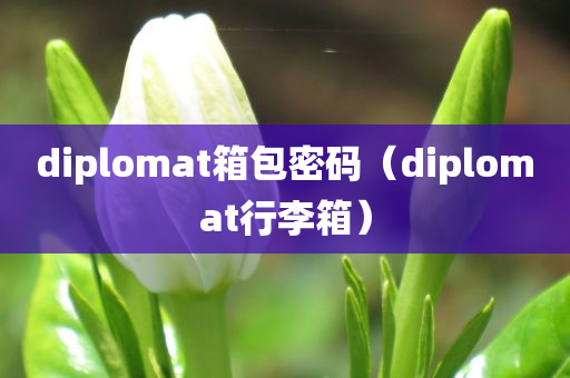 diplomat箱包密码（diplomat行李箱）