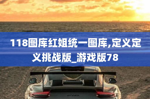 118图库红姐统一图库,定义定义挑战版_游戏版78