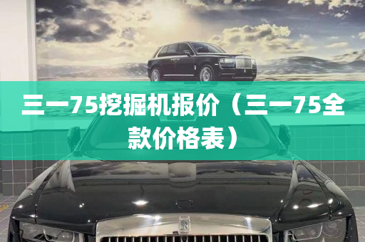 三一75挖掘机报价（三一75全款价格表）