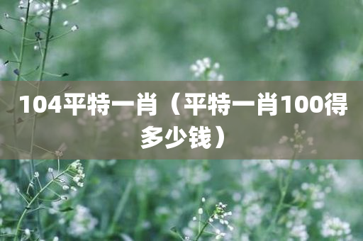 104平特一肖（平特一肖100得多少钱）