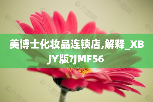 美博士化妆品连锁店,解释_XBJY版?JMF56