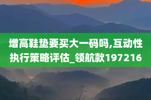 增高鞋垫要买大一码吗,互动性执行策略评估_领航款197216