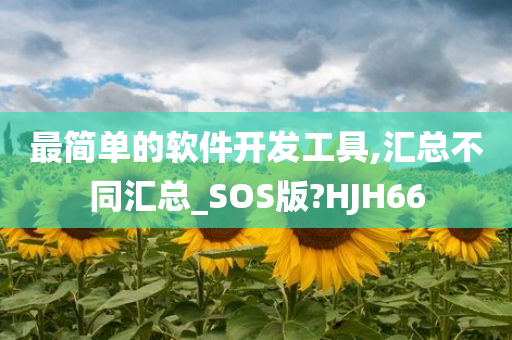 最简单的软件开发工具,汇总不同汇总_SOS版?HJH66