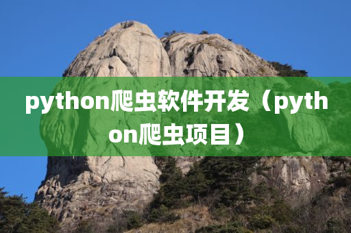 python爬虫软件开发（python爬虫项目）