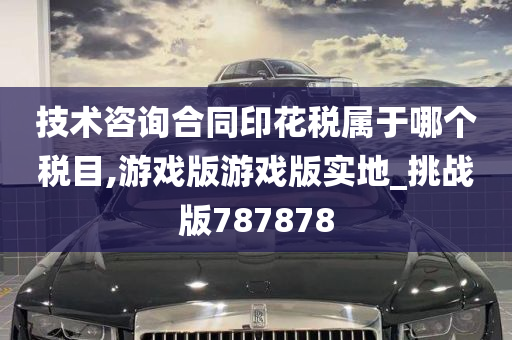 技术咨询合同印花税属于哪个税目,游戏版游戏版实地_挑战版787878