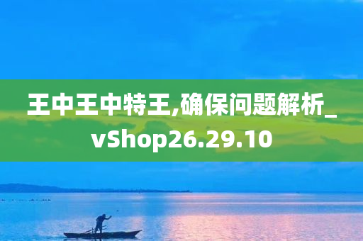 王中王中特王,确保问题解析_vShop26.29.10