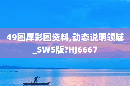 49图库彩图资料,动态说明领域_SWS版?HJ6667