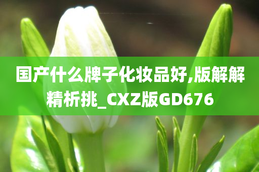 国产什么牌子化妆品好,版解解精析挑_CXZ版GD676