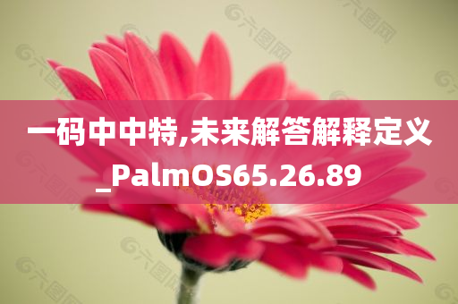 一码中中特,未来解答解释定义_PalmOS65.26.89