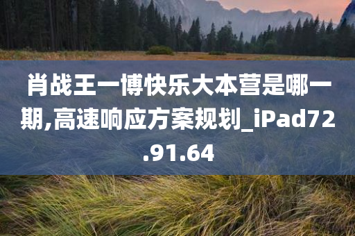 肖战王一博快乐大本营是哪一期,高速响应方案规划_iPad72.91.64