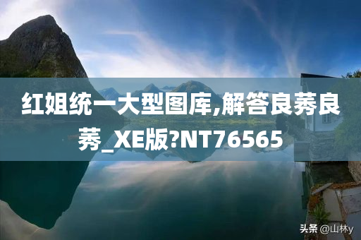 红姐统一大型图库,解答良莠良莠_XE版?NT76565