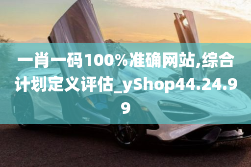 一肖一码100%准确网站,综合计划定义评估_yShop44.24.99