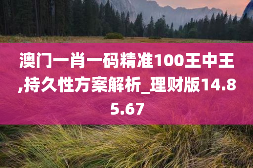 澳门一肖一码精准100王中王,持久性方案解析_理财版14.85.67