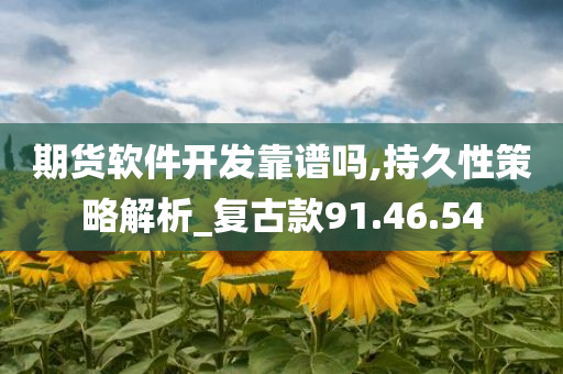 期货软件开发靠谱吗,持久性策略解析_复古款91.46.54