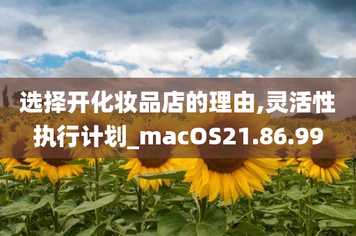 选择开化妆品店的理由,灵活性执行计划_macOS21.86.99