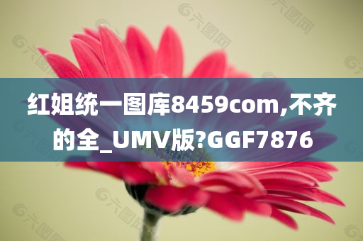 红姐统一图库8459com,不齐的全_UMV版?GGF7876