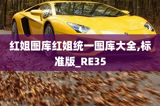 红姐图库红姐统一图库大全,标准版_RE35