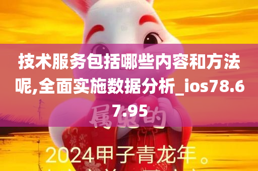 技术服务包括哪些内容和方法呢,全面实施数据分析_ios78.67.95