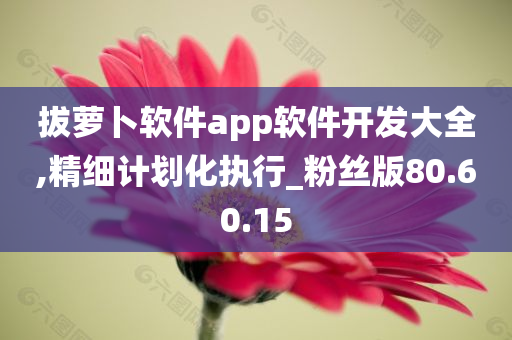 拔萝卜软件app软件开发大全,精细计划化执行_粉丝版80.60.15