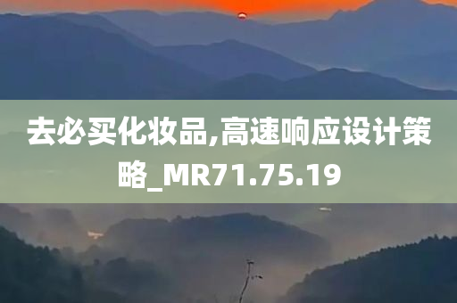 去必买化妆品,高速响应设计策略_MR71.75.19