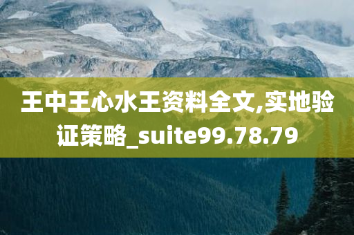 王中王心水王资料全文,实地验证策略_suite99.78.79