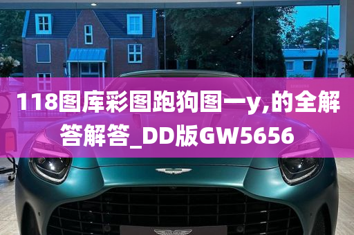 118图库彩图跑狗图一y,的全解答解答_DD版GW5656