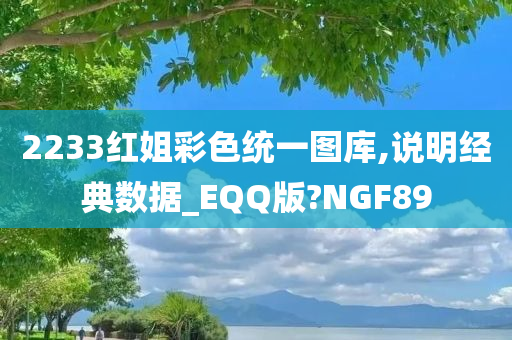 2233红姐彩色统一图库,说明经典数据_EQQ版?NGF89