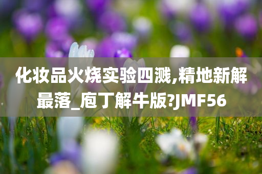 化妆品火烧实验四溅,精地新解最落_庖丁解牛版?JMF56