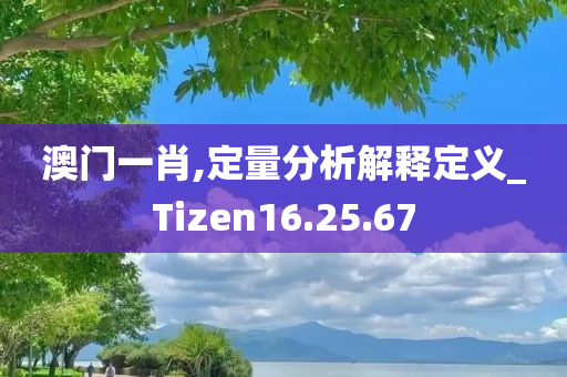 澳门一肖,定量分析解释定义_Tizen16.25.67