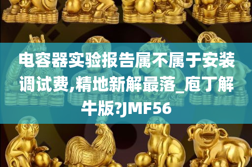 电容器实验报告属不属于安装调试费,精地新解最落_庖丁解牛版?JMF56