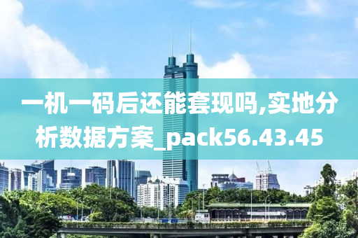 一机一码后还能套现吗,实地分析数据方案_pack56.43.45