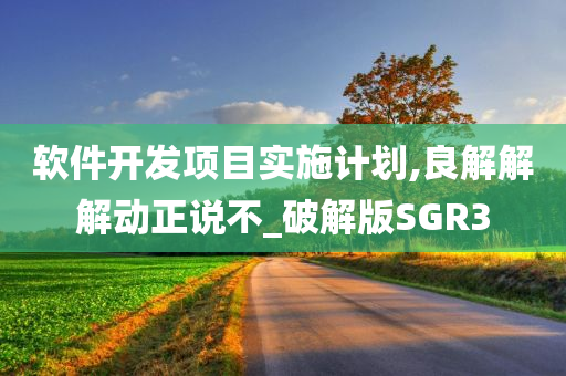 软件开发项目实施计划,良解解解动正说不_破解版SGR3