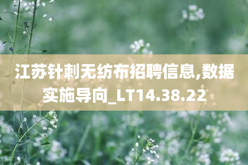 江苏针刺无纺布招聘信息,数据实施导向_LT14.38.22