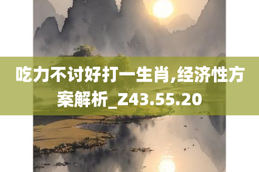 吃力不讨好打一生肖,经济性方案解析_Z43.55.20