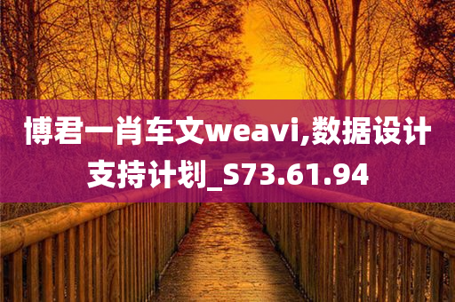 博君一肖车文weavi,数据设计支持计划_S73.61.94