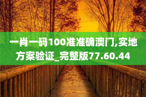 一肖一码100准准确澳门,实地方案验证_完整版77.60.44