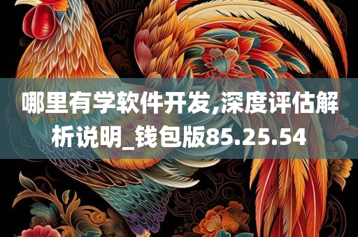 哪里有学软件开发,深度评估解析说明_钱包版85.25.54