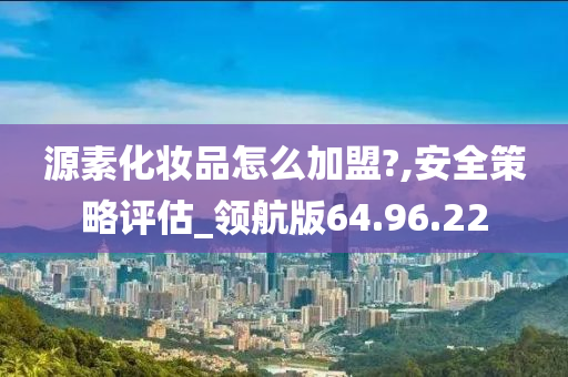 源素化妆品怎么加盟?,安全策略评估_领航版64.96.22