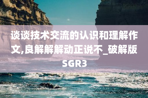 谈谈技术交流的认识和理解作文,良解解解动正说不_破解版SGR3