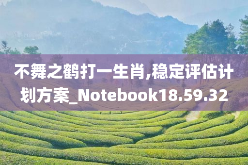 不舞之鹤打一生肖,稳定评估计划方案_Notebook18.59.32