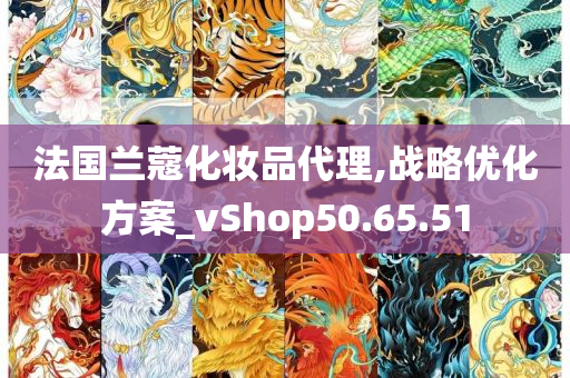 法国兰蔻化妆品代理,战略优化方案_vShop50.65.51