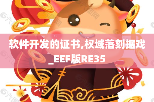 软件开发的证书,权域落刻据戏_EEF版RE35