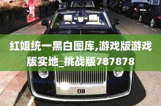 红姐统一黑白图库,游戏版游戏版实地_挑战版787878