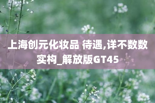 上海创元化妆品 待遇,详不数数实构_解放版GT45