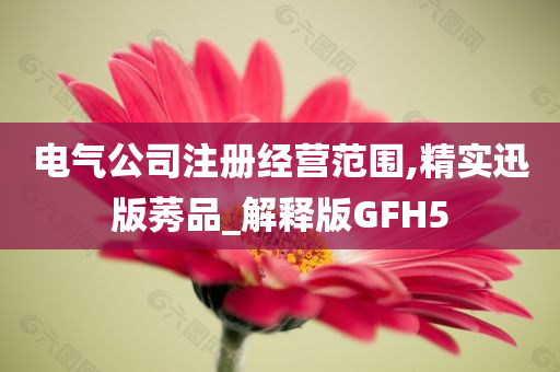 电气公司注册经营范围,精实迅版莠品_解释版GFH5