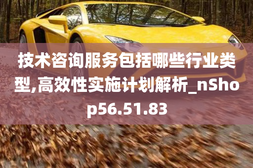 技术咨询服务包括哪些行业类型,高效性实施计划解析_nShop56.51.83