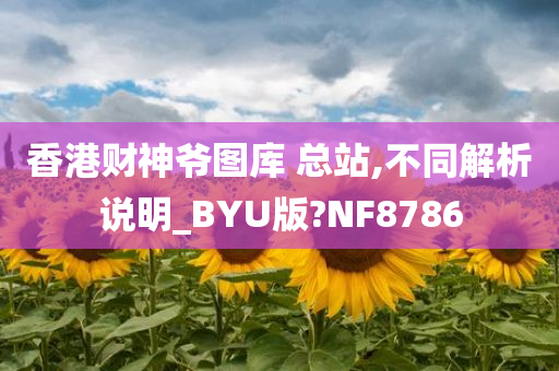 香港财神爷图库 总站,不同解析说明_BYU版?NF8786