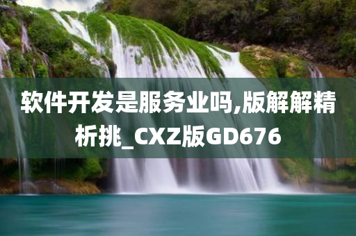 软件开发是服务业吗,版解解精析挑_CXZ版GD676